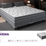Box Ravena